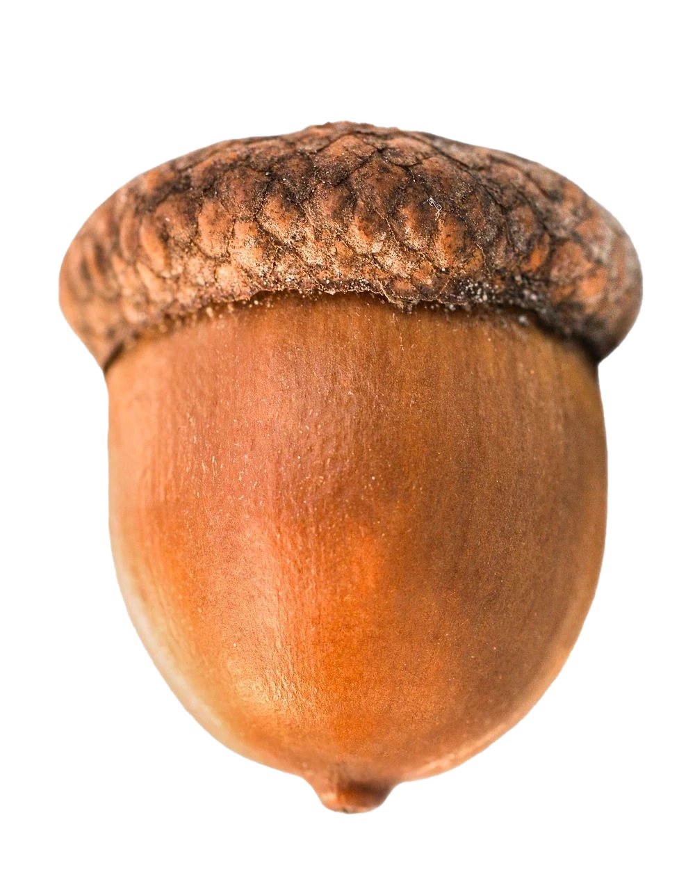 FINNS FARM LTD - Secure Storage Units